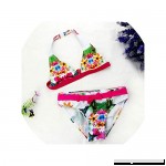 2019 Summer Split Bikini Kids Flower and Animal Pattern Swimwear A B07NXBVYH6